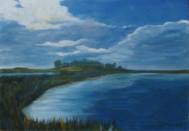 landschap1.jpg